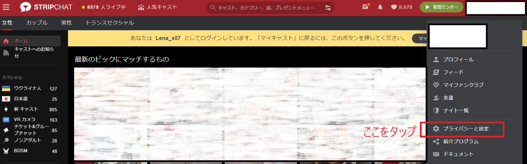 ストチャ｜プライバシーと設定-2-1024x319 【Stripchat】DMCA保護（流出・転載動画の削除）